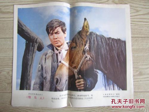 亚柏特麦格纳斯学院硕士学位证